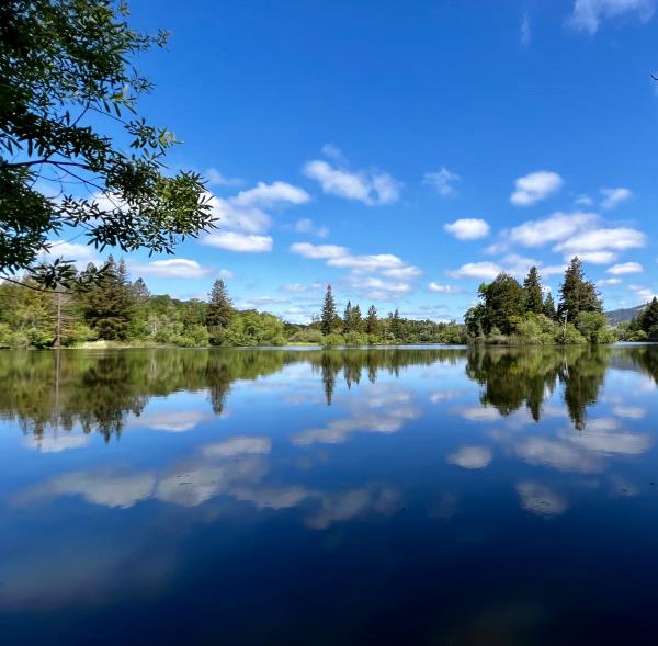 /Images/uploads/Sonoma County Regional Parks Foundation/springlake50/entries/28962thumb.jpg